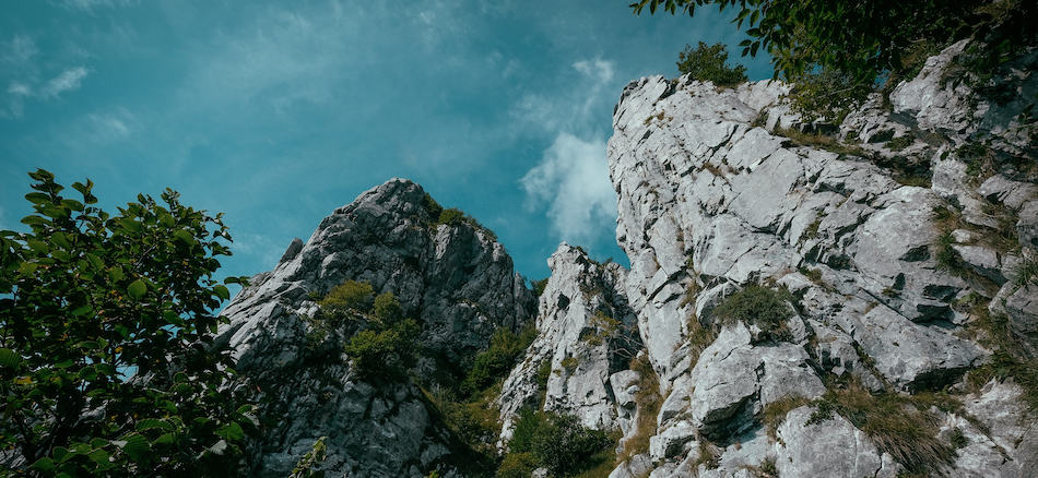 Canva-Worms-eye-View-Photography-of-Cliff